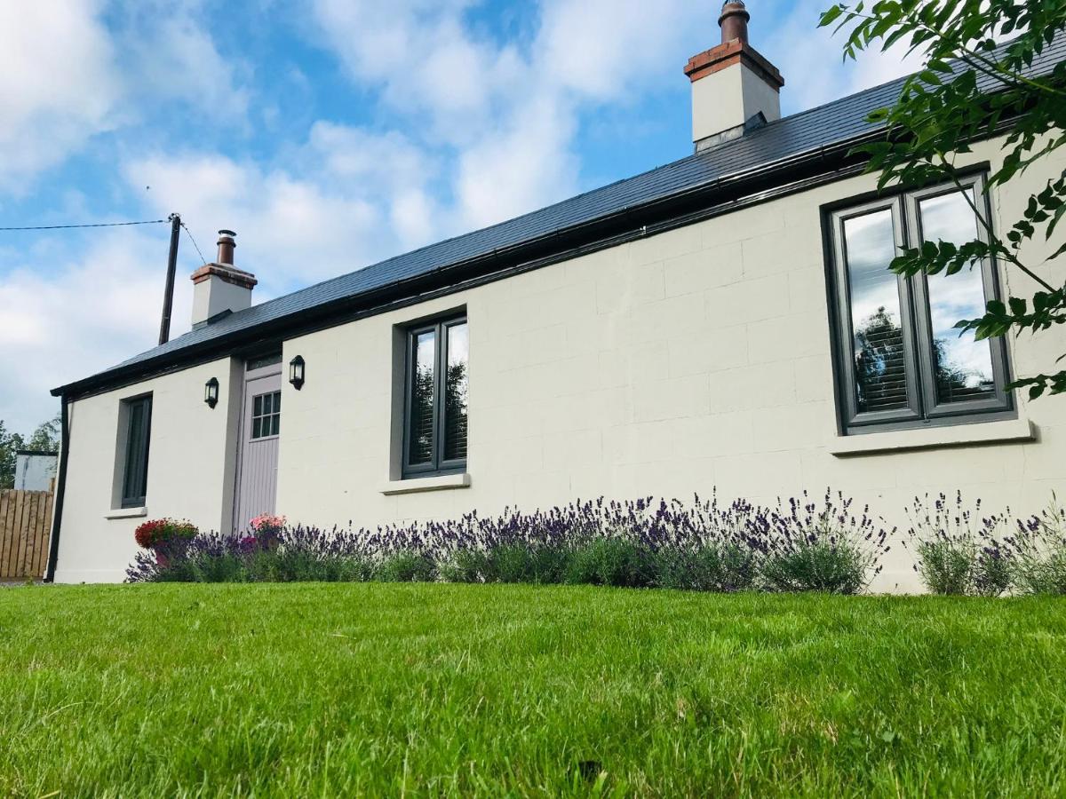 Lavender Cottage - 2 Bedroom Home 쥬브리지 외부 사진